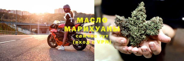 молекула духа Арсеньев