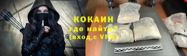 соль ск Алексин