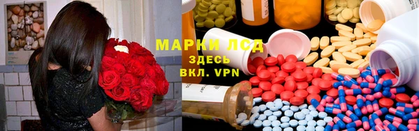 молекула духа Арсеньев